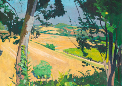 Afternoon from Barrère