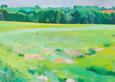 Field at Routgès
