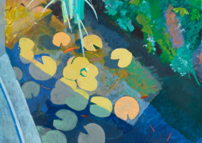 Lily Pond