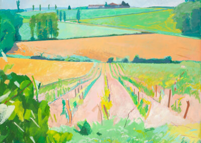 Vineyards at Routgès